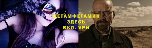 прущие грибы Верхний Тагил